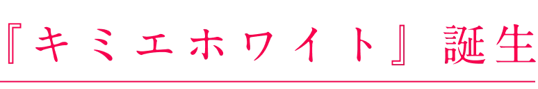 『キミエホワイト』 誕生