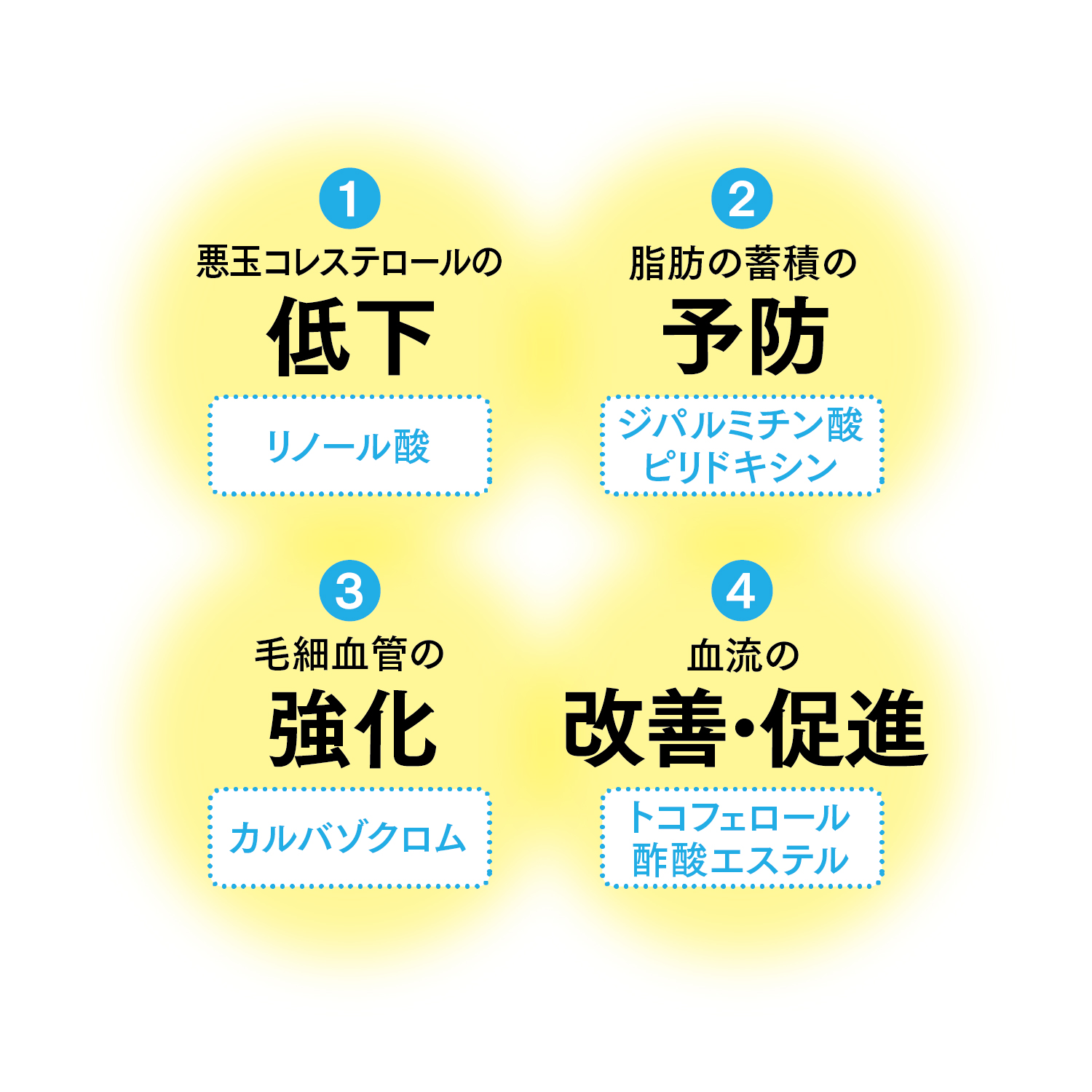 ① 悪玉コレステロールの低下（リノール酸）、② 脂肪の蓄積の予防（ジパルミチン酸・ピリドキシン）、③ 毛細血管の強化（カルバゾクロム）、④ 血流の改善・促進（トコフェロール酢酸エステル）