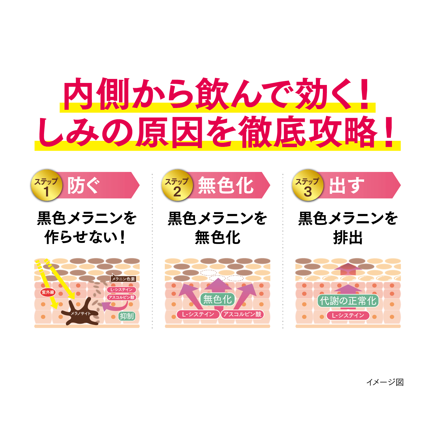 内側から飲んで効く！しみの原因を徹底攻略