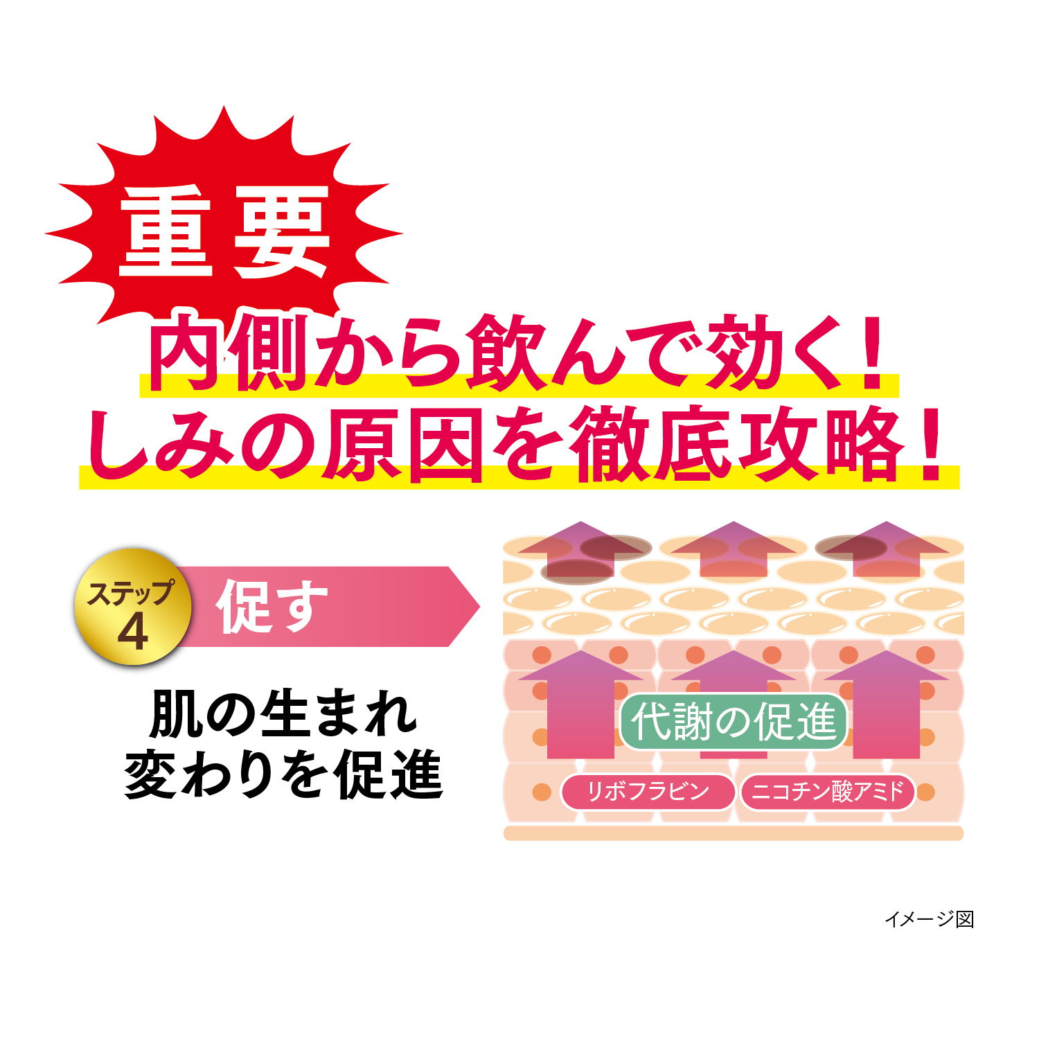 内側から飲んで効く！しみの原因を徹底攻略