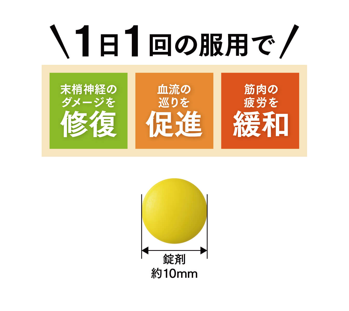 1日1回の服用で末梢神経のダメージを修復血流の巡りを促進筋肉の疲労を緩和