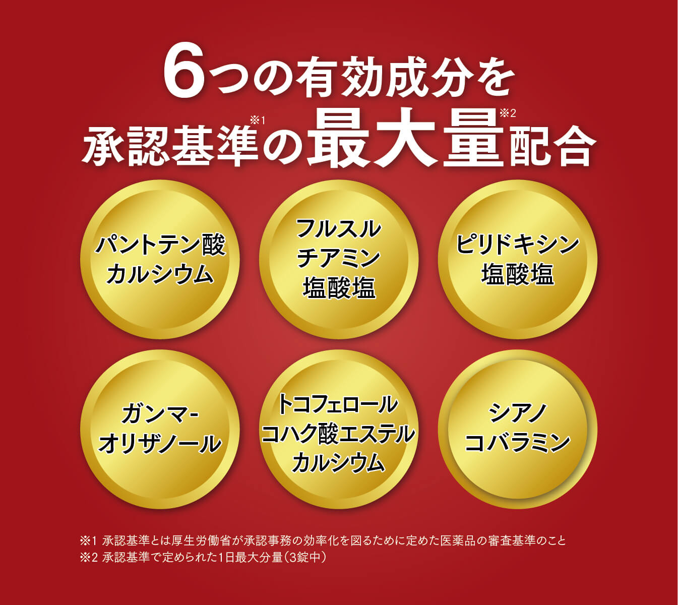6つの有効成分を 承認基準の最大量配合パントテン酸カルシウムフルスルチアミン塩酸塩ピリドキシン塩酸塩ガンマーオリザノールトコフェロールコハク酸エステルカルシウムシアノコバラミン