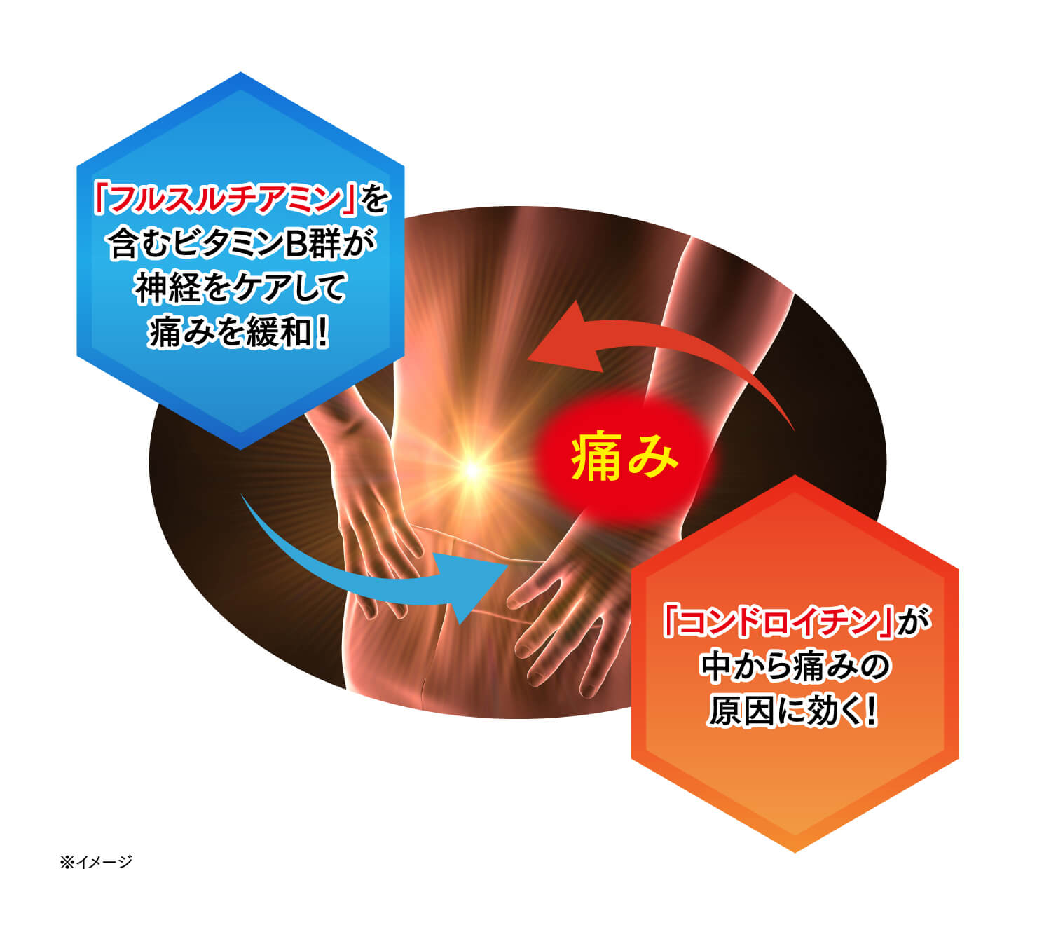 フルスルチアミン」を含むビタミンB群が神経をケアして痛みを緩和！コンドロイチン」が中から痛みの原因に効く！