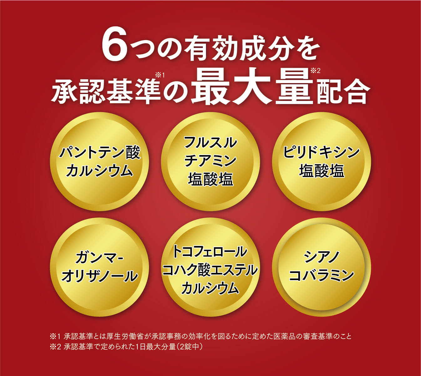 6つの有効成分を 承認基準の最大量配合パントテン酸カルシウムフルスルチアミン塩酸塩ピリドキシン塩酸塩ガンマーオリザノールトコフェロールコハク酸エステルカルシウムシアノコバラミン