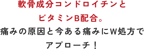 軟骨成分コンドロイチンとビタミンB配合。痛みの原因と今ある痛みにW処方でアプローチ！