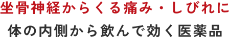 坐骨神経からくる痛み・しびれに体の内側から飲んで効く医薬品