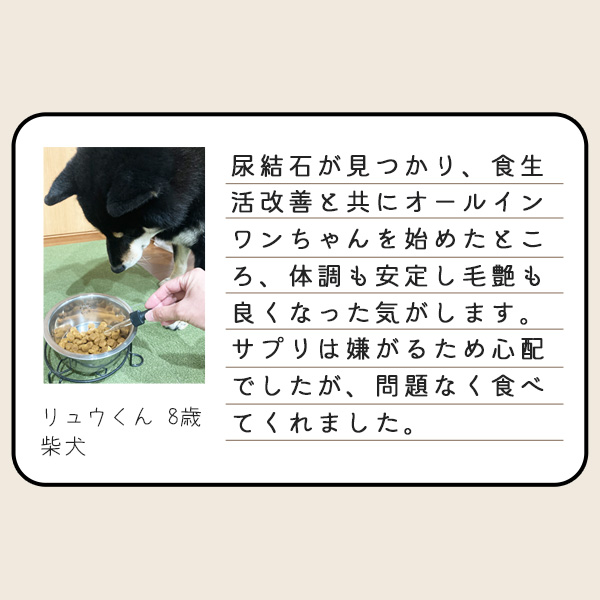 獣医師監修｜オールインワンちゃん 健康補助オイル【通常価格】