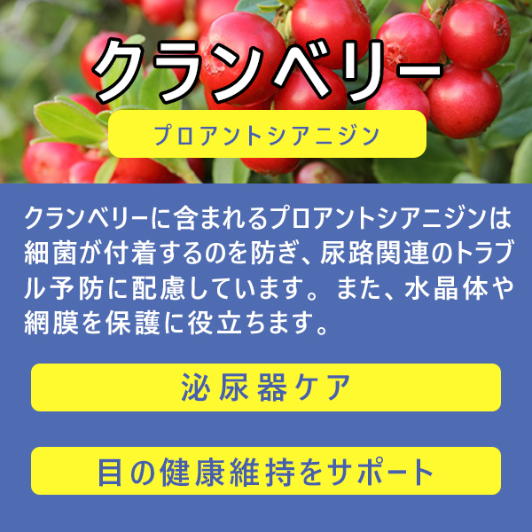 獣医師監修｜オールインワンちゃん 健康補助オイル［3本定期コース］