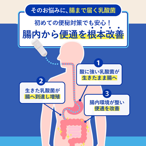 ウェルカム快便 ＜生きて腸まで届き便通を改善＞ 2袋定期コース