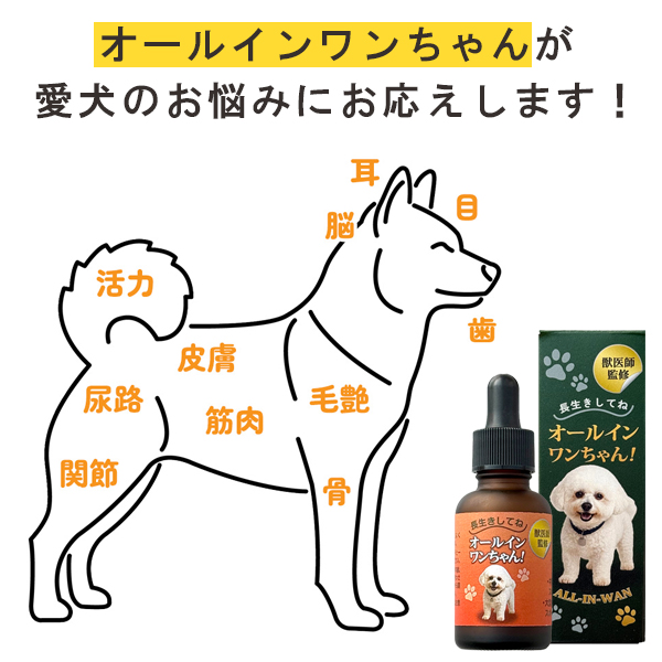 獣医師監修｜オールインワンちゃん 健康補助オイル【通常価格】