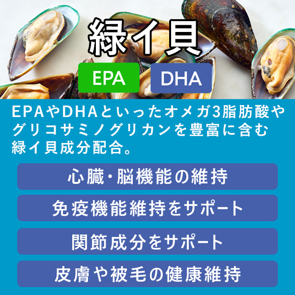 獣医師監修｜オールインワンちゃん 健康補助オイル［3本定期コース］
