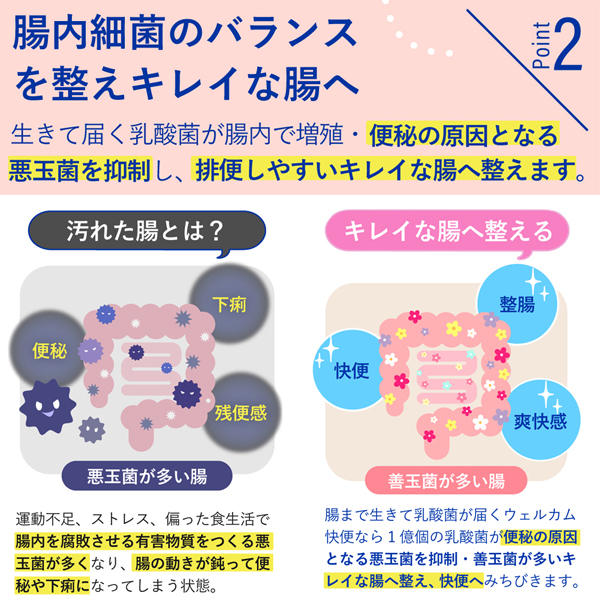 ウェルカム快便 ＜生きて腸まで届き便通を改善＞ 3袋定期コース  