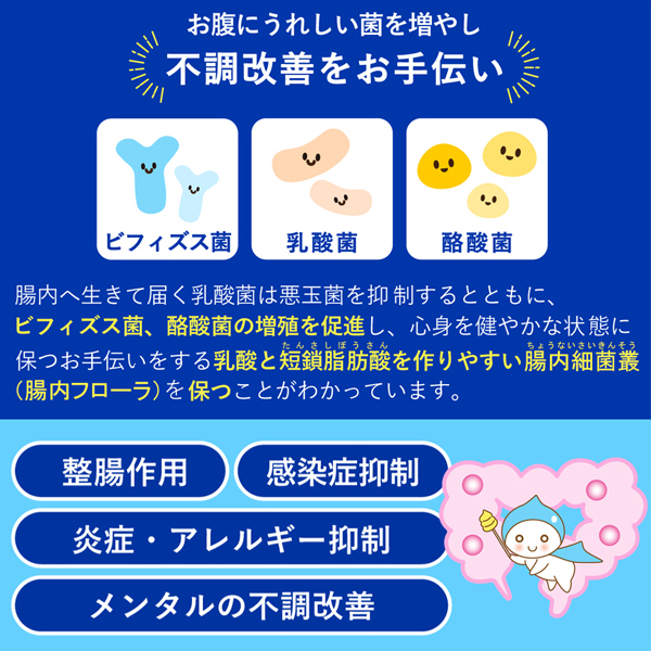 ウェルカム快便 ＜生きて腸まで届き便通を改善＞ 3袋定期コース  