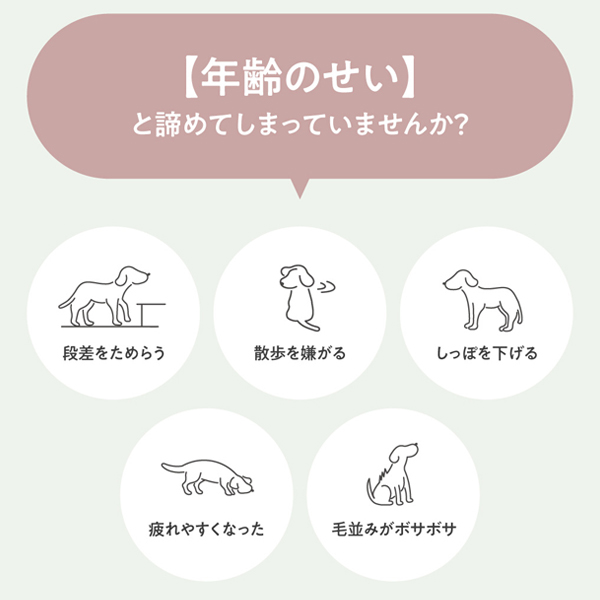 獣医師監修｜オールインワンちゃん 健康補助オイル［2本定期コース］