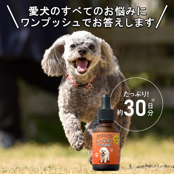獣医師監修｜オールインワンちゃん 健康補助オイル【通常価格】