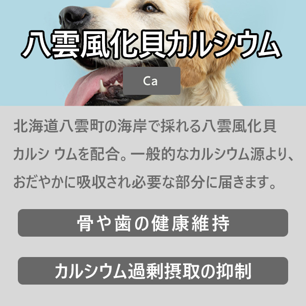 獣医師監修｜オールインワンちゃん 健康補助オイル【通常価格】