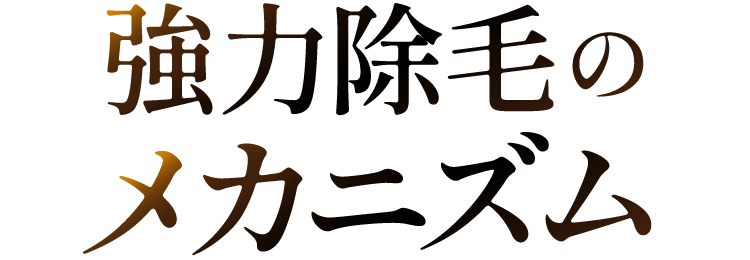 強力除毛のメカニズム