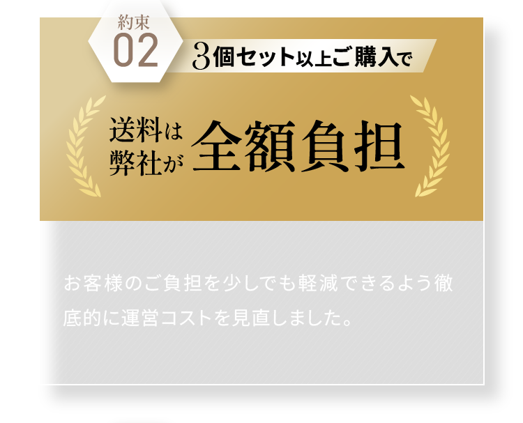 約束02 3個セット以上ご購入で送料は弊社が全額負担