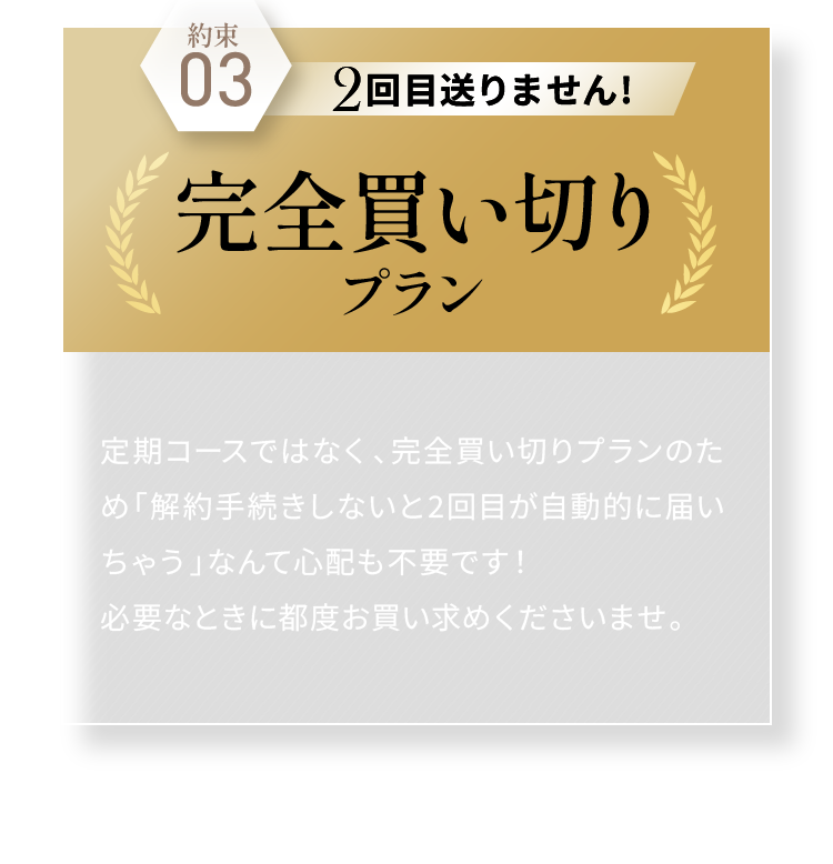 約束03 2回目送りません!完全買い切りプラン