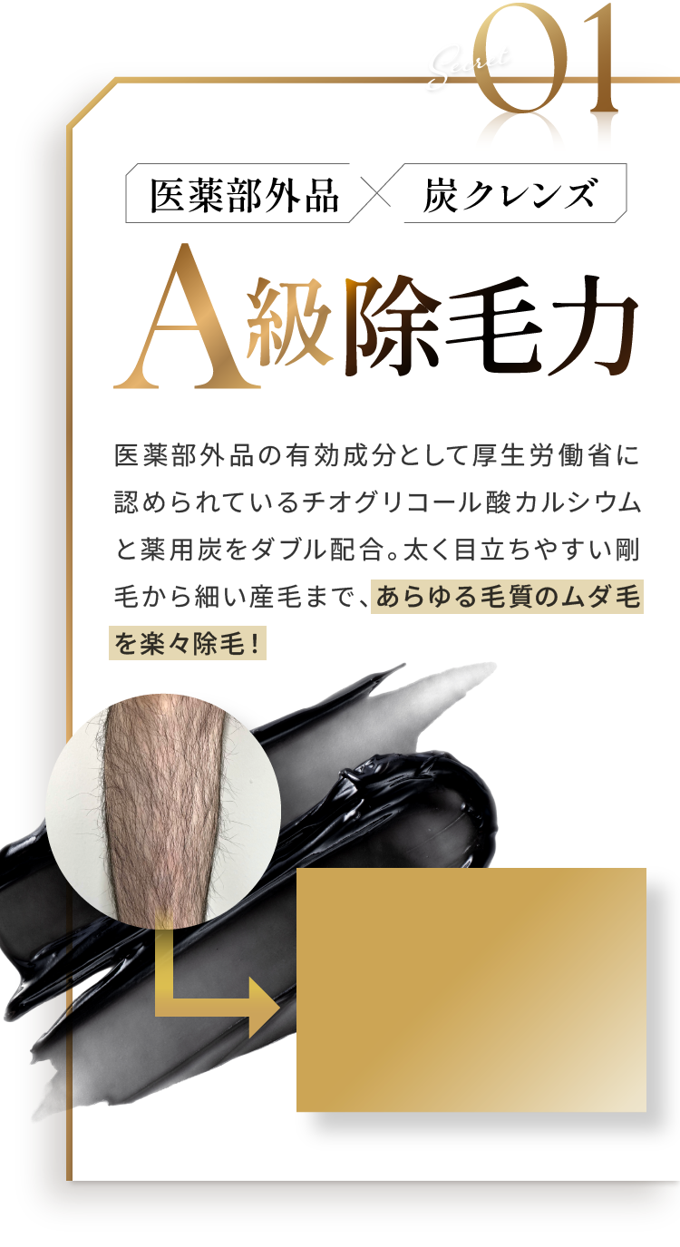 Secret01 医薬部外品×炭クレンズ A級除毛力
