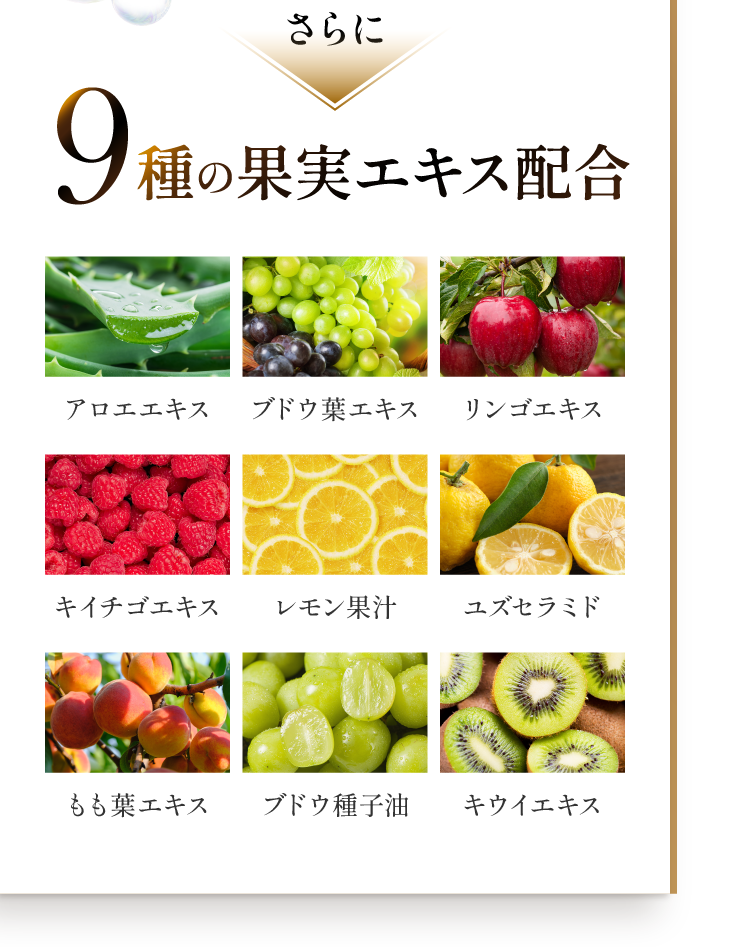 9種の果実エキス配合