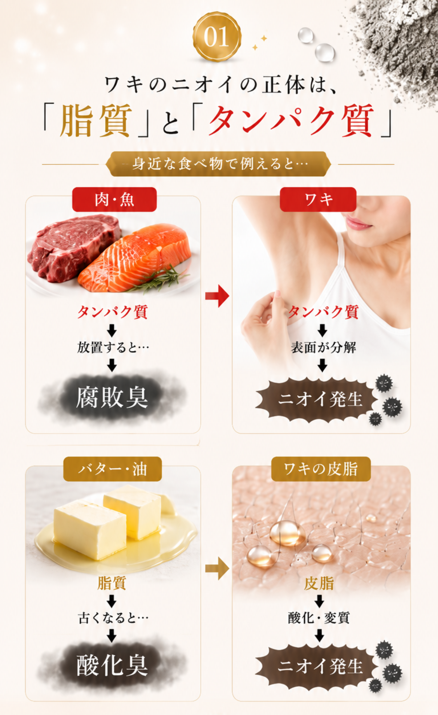 ワキのニオイの正体は脂質とタンパク質｜身近な食べ物で例えると腐敗臭・酸化臭