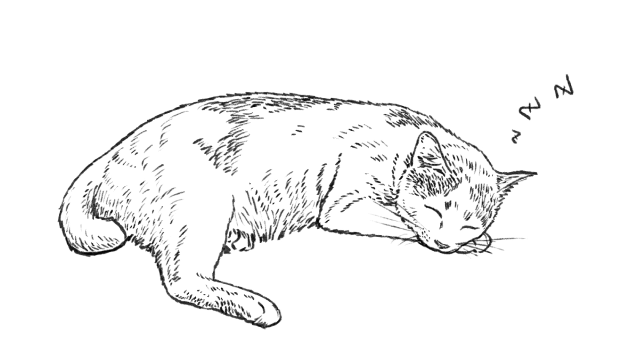 愛猫イメージイラスト