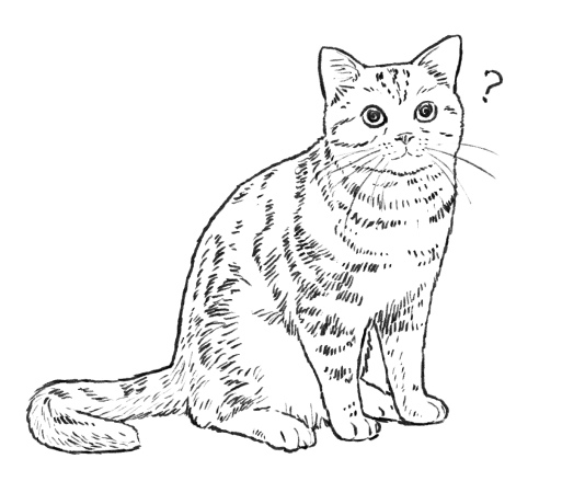 愛猫イメージイラスト