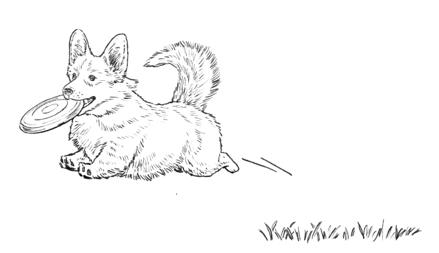 犬の健康イメージ