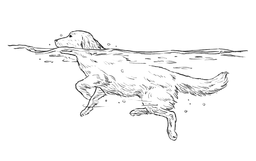 愛犬イメージイラスト