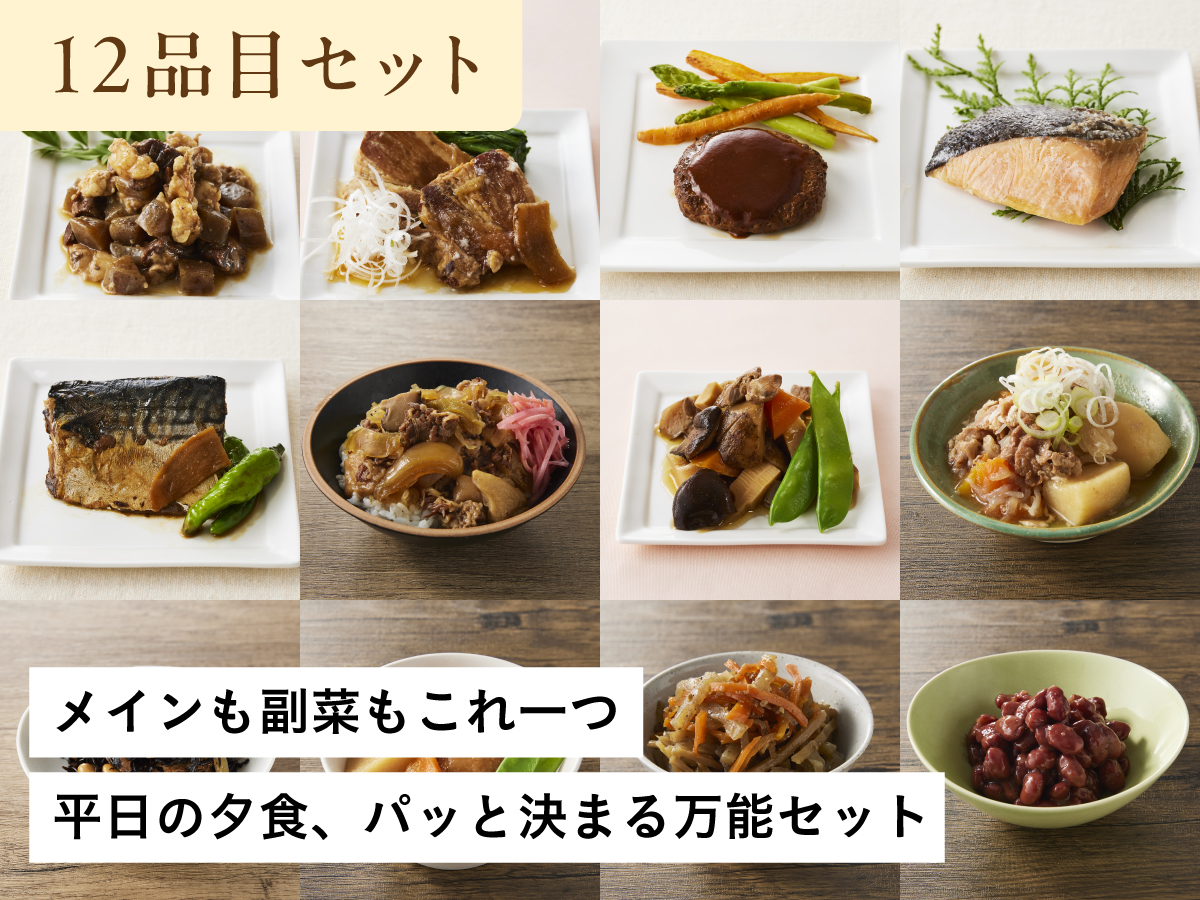 肉・魚・野菜バランス和惣菜12品セット