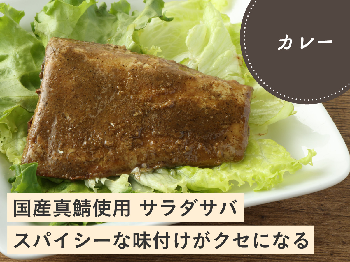 国産真鯖使用 サラダサバ（カレー）