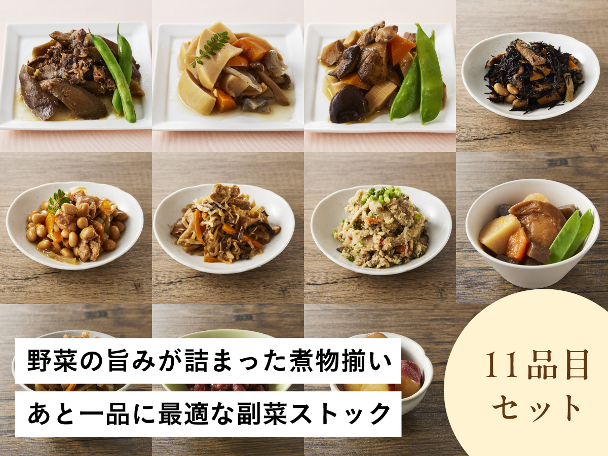 野菜・豆たっぷり和副菜11品セット