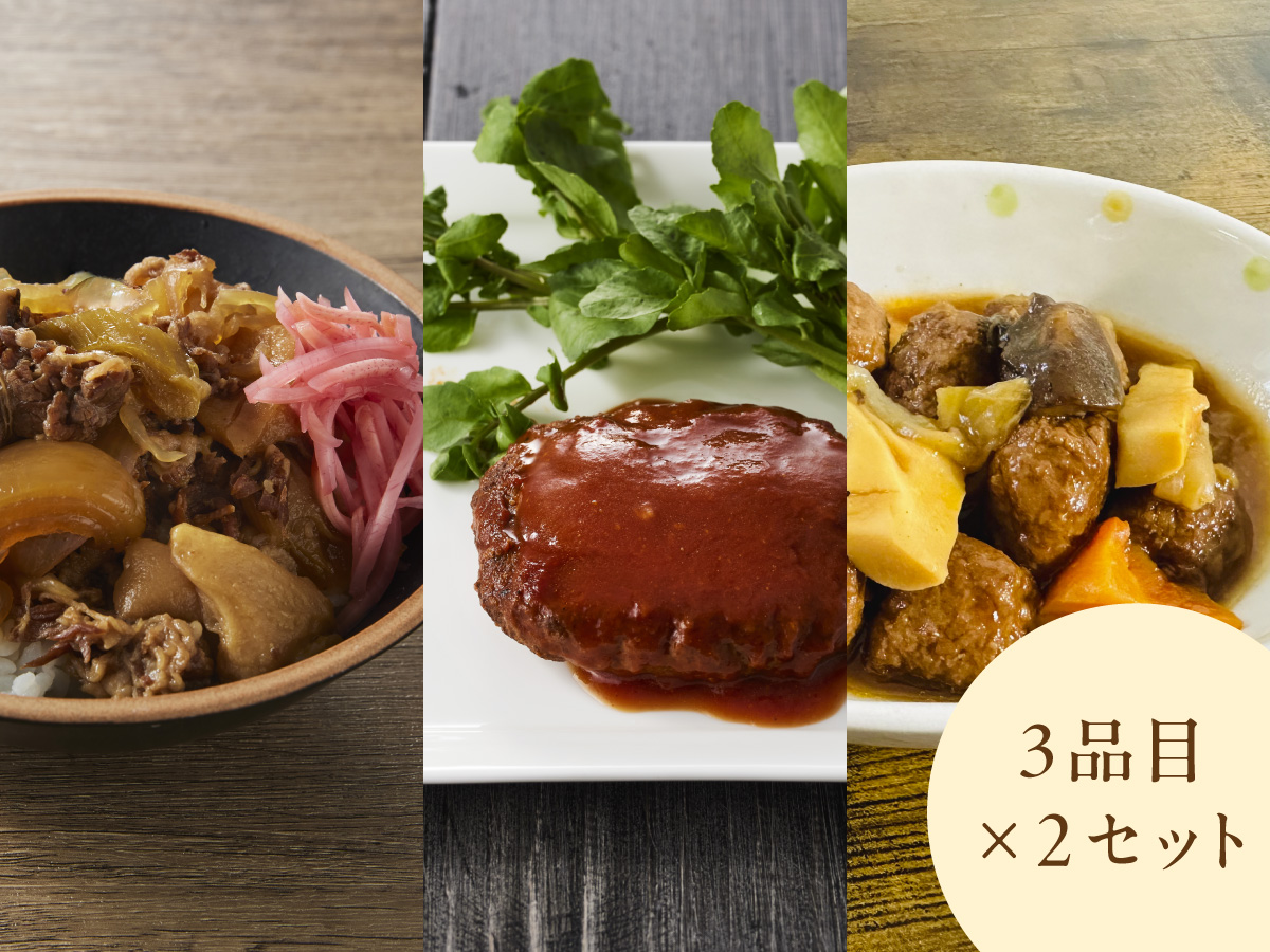 常温備食「うちのや」  新お肉おかずA 3品目×２