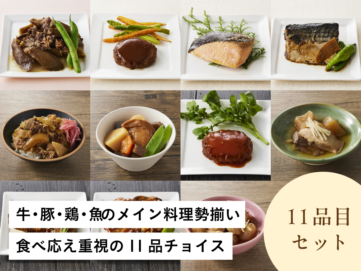 魚と肉のメイン入り 主菜11品セット