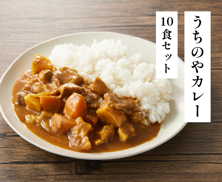 うちのやカレー 10食セット