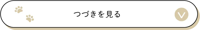 つづきを見る