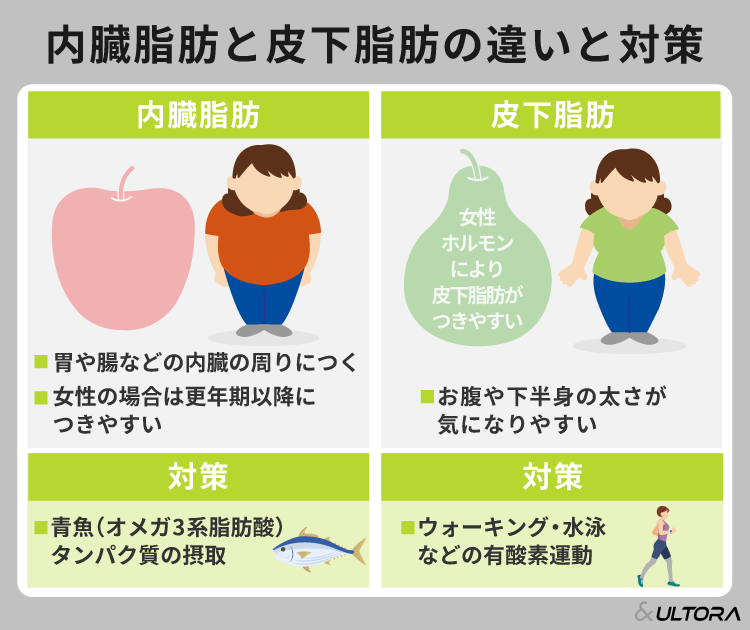 女性が体脂肪を減らすには？効果的な方法と長期的に維持するポイントを 