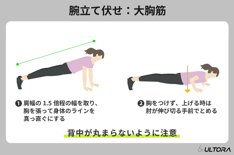 筋トレ初心者でもできるメニュー！自宅やジムで行うトレーニングのコツ 