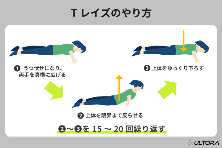 背筋の筋トレメニューを紹介！自重や器具なしで背中の筋肉を鍛える方法 