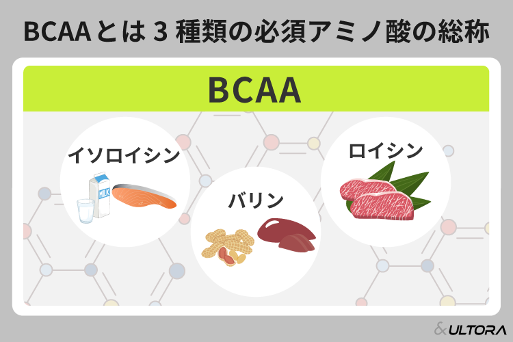 BCAAとは 筋トレやダイエットなど目的別に摂取するタイミングなども解説 ウルトラ 公式 プロテインオンラインストア