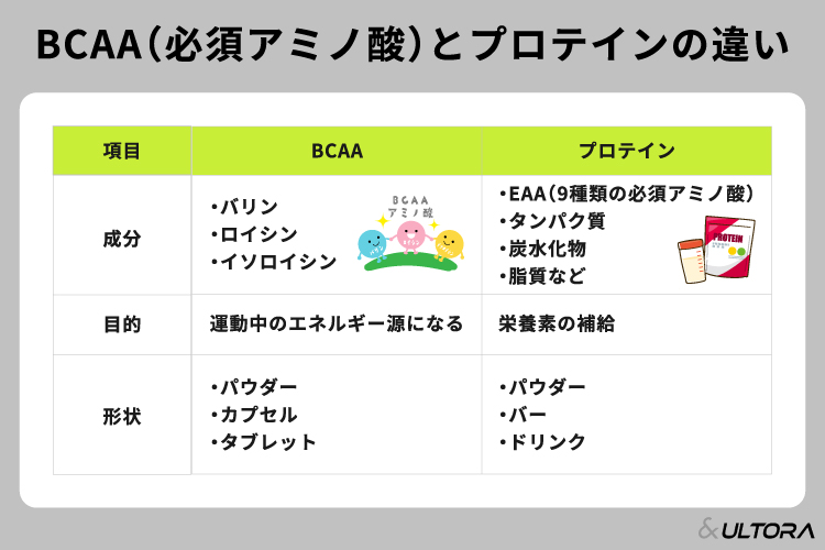 BCAAとプロテインはどっちがいい？それぞれの違いや目的別におすすめな 