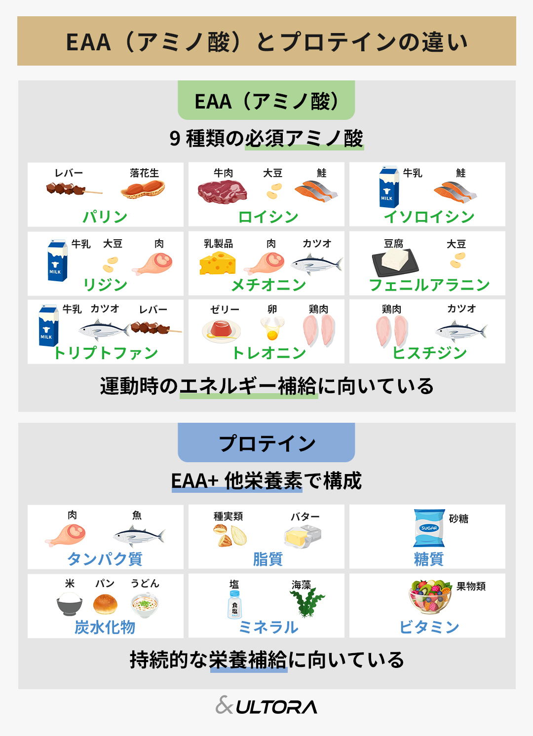 EAAとプロテインはどっちがいい？飲むタイミング・飲み方を紹介 