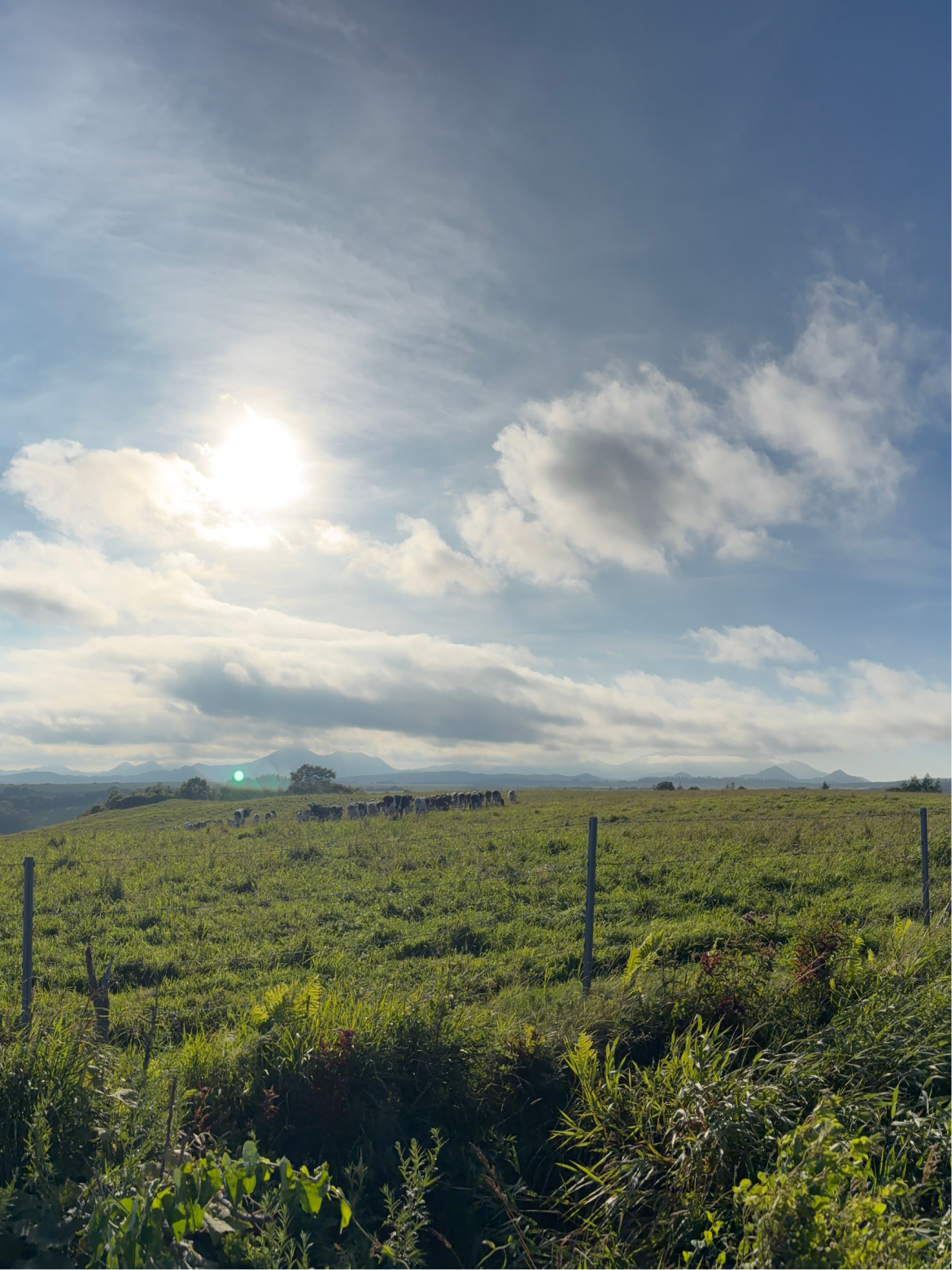 北海道 中標津
