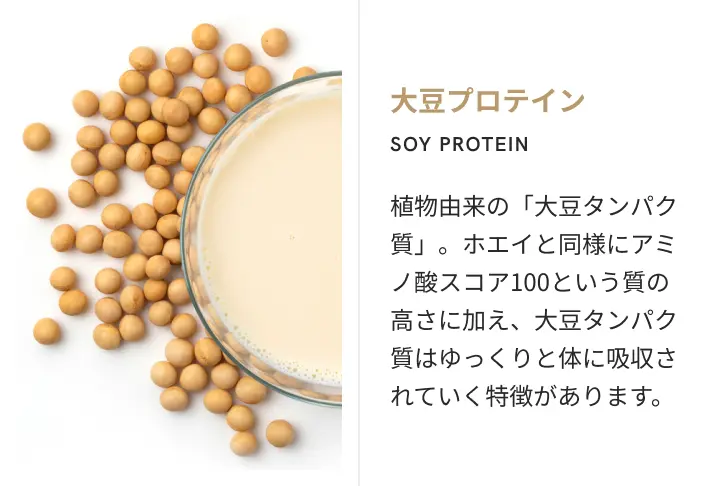 大豆プロテイン: 植物由来の「大豆タンパク質」。ホエイと同様にアミノ酸スコア100という質の高さに加え、大豆タンパク質はゆっくりと体に吸収されていく特徴があります。