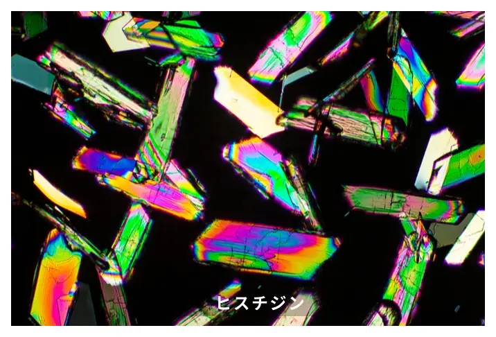ヒスチジン