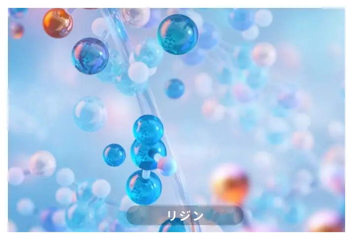 リジン