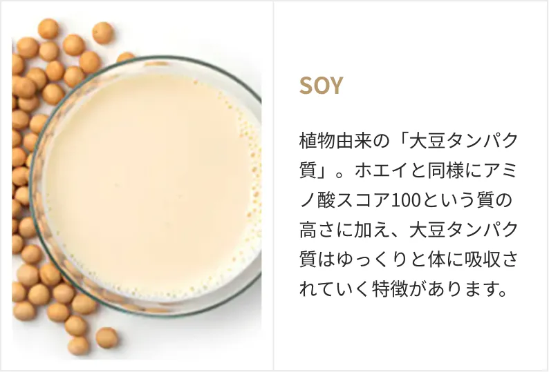 SOY。植物由来の「大豆タンパク質」。ホエイと同様にアミノ酸スコア100という質の高さに加え、大豆タンパク質はゆっくりと体に吸収されていく特徴があります。
