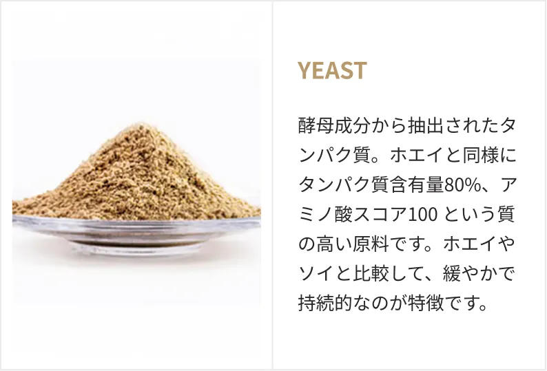 YEAST。酵母成分から抽出されたタンパク質。ホエイと同様にタンパク質含有量80%、アミノ酸スコア100 という質の高い原料です。ホエイやソイと比較して、緩やかで持続的なのが特徴です。