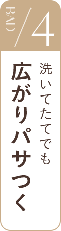 BAD4 洗いたてでも広がりパサつく